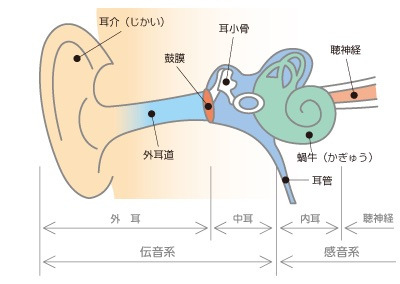 耳管