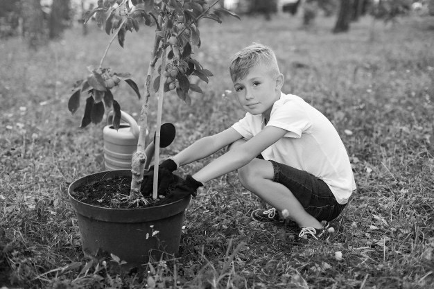 boy-planting-tree